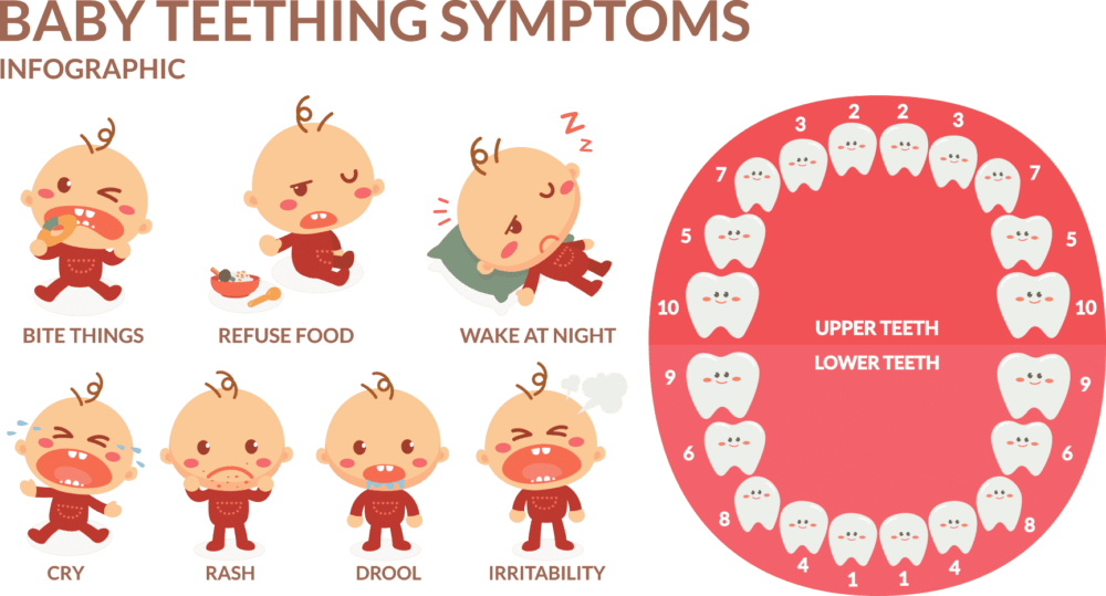 teething-the-ultimate-guide-everything-you-need-to-know