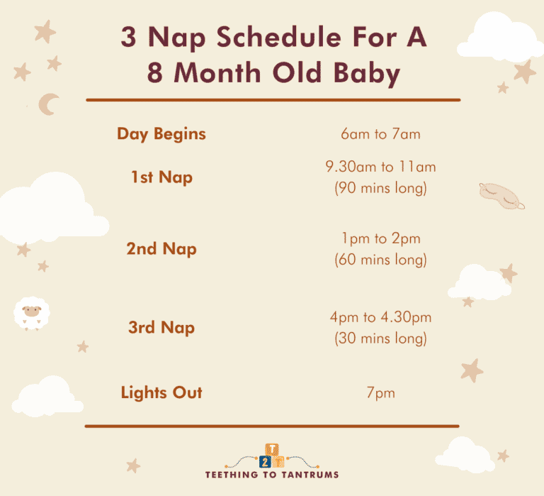 8 Month Old Sleep Schedule The Complete Guide