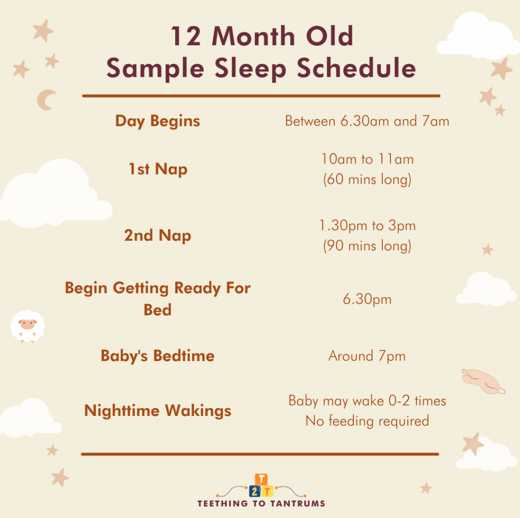 12 Month Old Sleep Schedule Your Invaluable Guide To Zzz