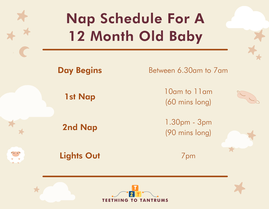 12 Month Old Sleep Schedule: Your Invaluable Guide To Zzz