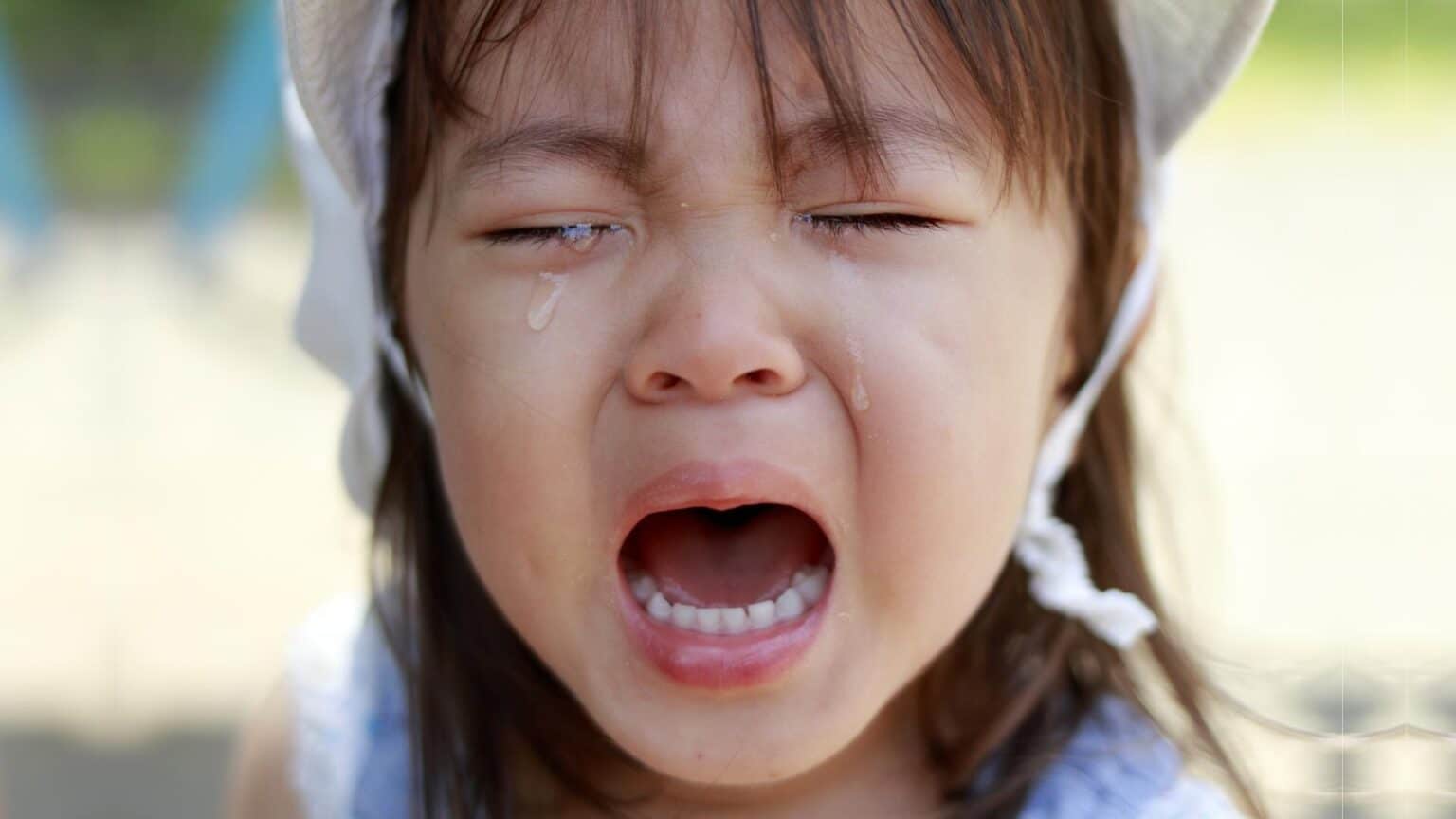 Tantrums In 2 Year Olds Say No To The Terrible Twos!