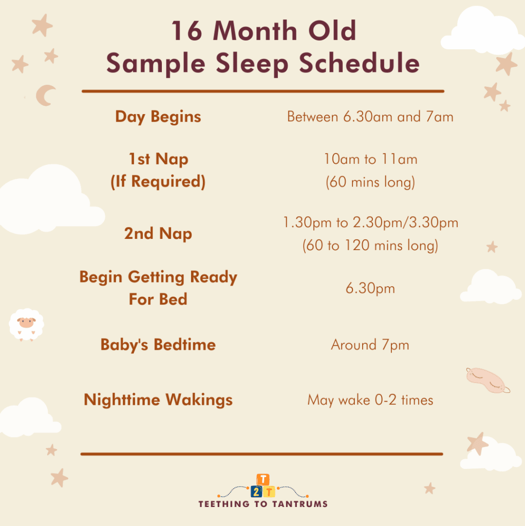 16 Month Old Sleep Schedule The Complete Guide